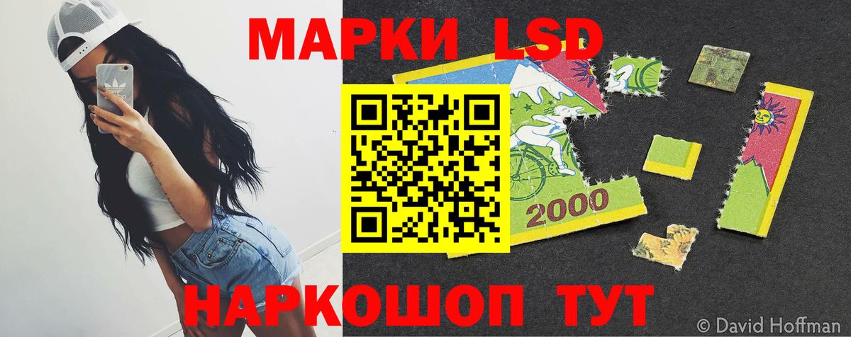 LSD-25 экстази кислота Кингисепп