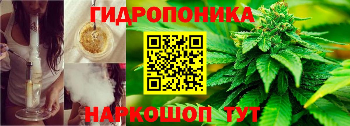 Каннабис VHQ Кингисепп